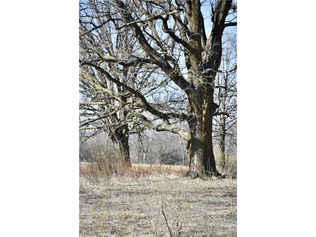 19XXX 150th Avenue Milaca MN 56353 7047704 image20