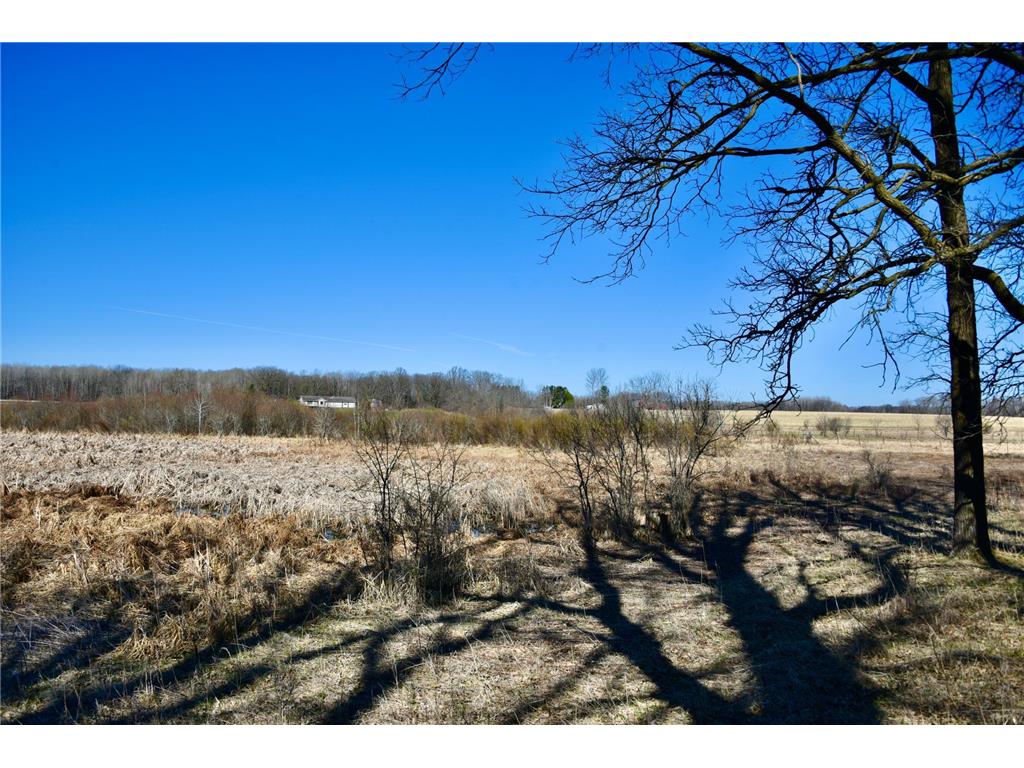 19XXX 150th Avenue Milaca MN 56353 7047704 image21