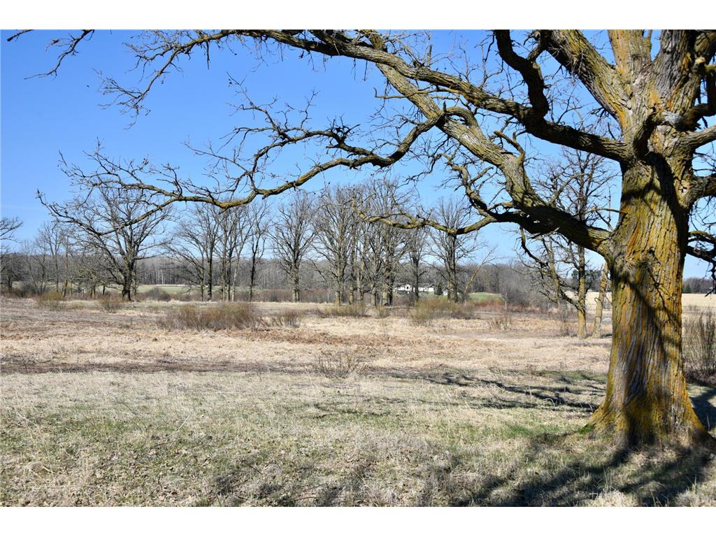 19XXX 150th Avenue Milaca MN 56353 7047704 image29