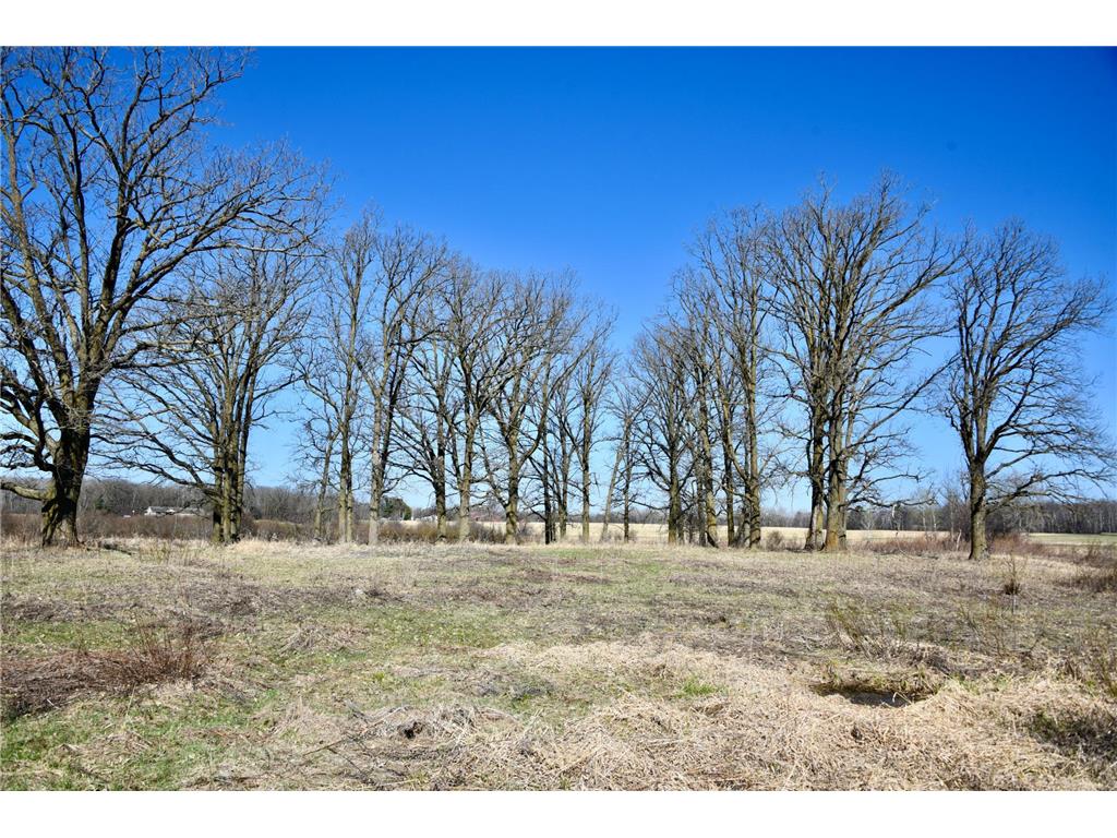19XXX 150th Avenue Milaca MN 56353 7047704 image3