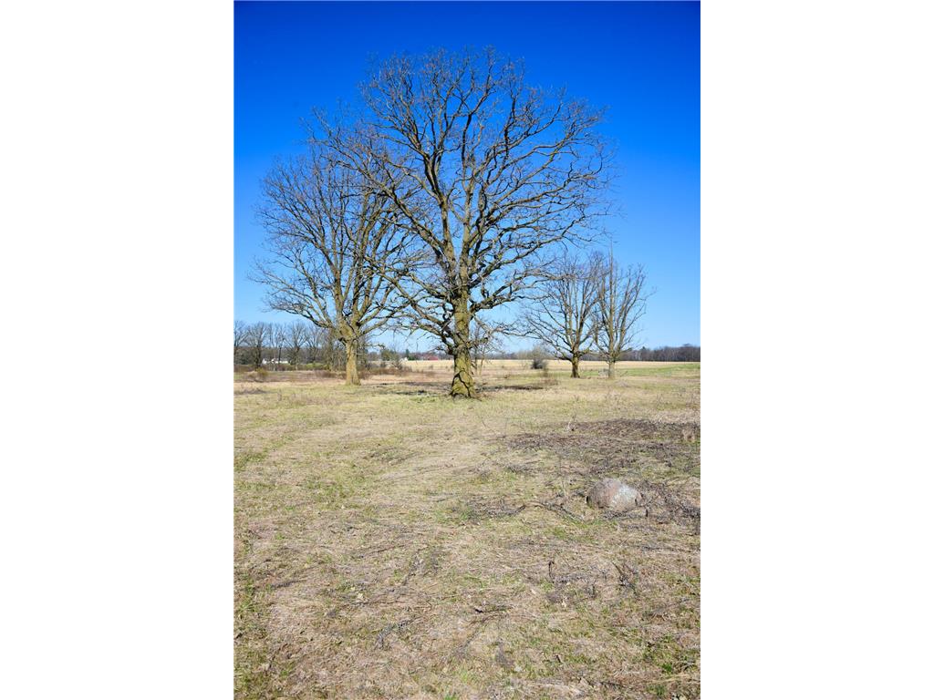 19XXX 150th Avenue Milaca MN 56353 7047704 image33