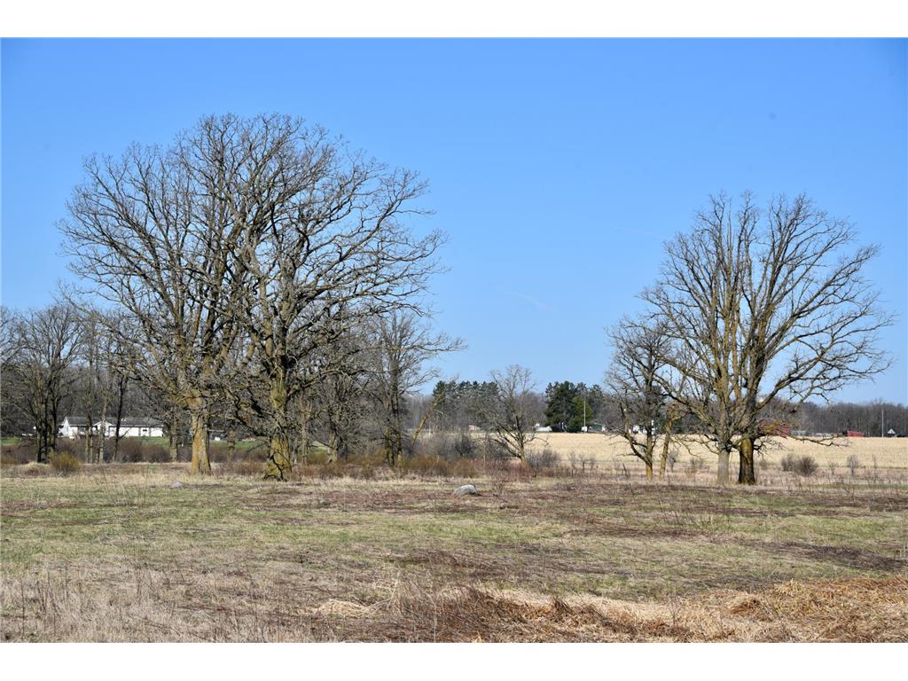 19XXX 150th Avenue Milaca MN 56353 7047704 image4