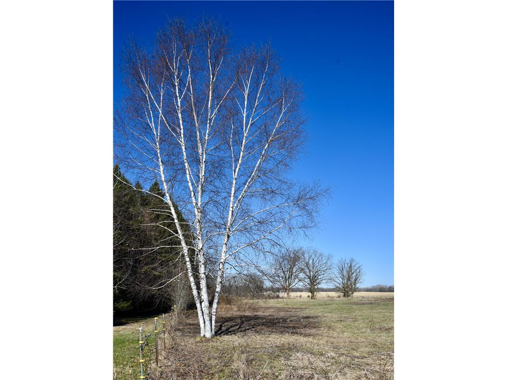 19XXX 150th Avenue Milaca MN 56353 7047704 image8