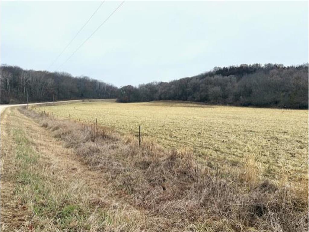 19xx 65th St NE Rochester MN 55906 6821423 image3