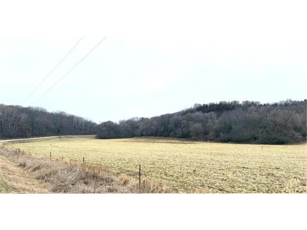 19xx 65th St NE Rochester MN 55906 6821423 image4