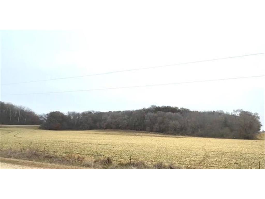 19xx 65th St NE Rochester MN 55906 6821423 image5