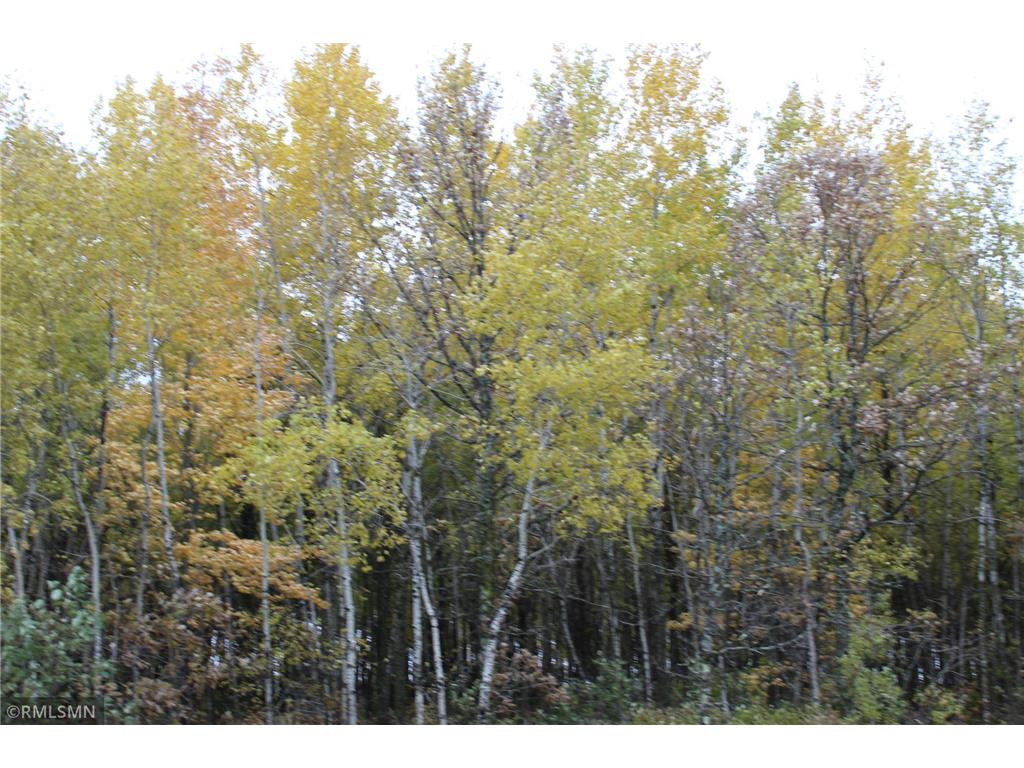 19xxx CR 2 Brainerd MN 56401 6348329 image1