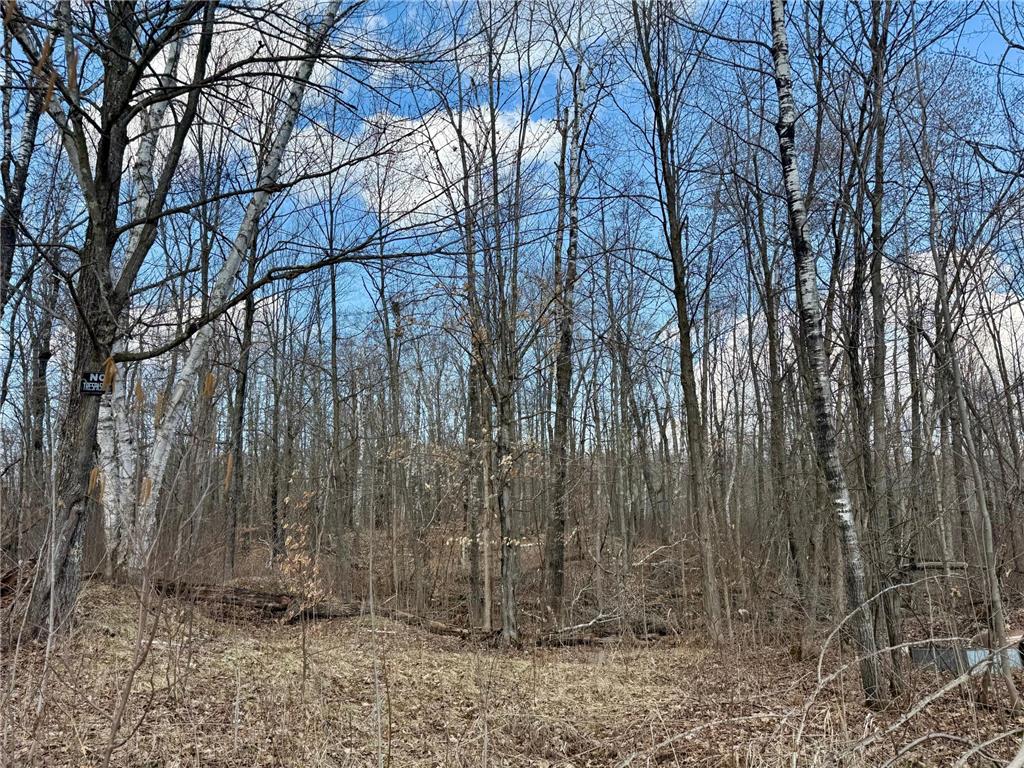 1XX Estates Road Bruno Twp MN 55756 6706862 image1
