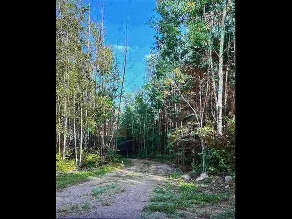 1XX N Creek Drive Biwabik MN 55731 - Embarrass Lake 7008395 image7