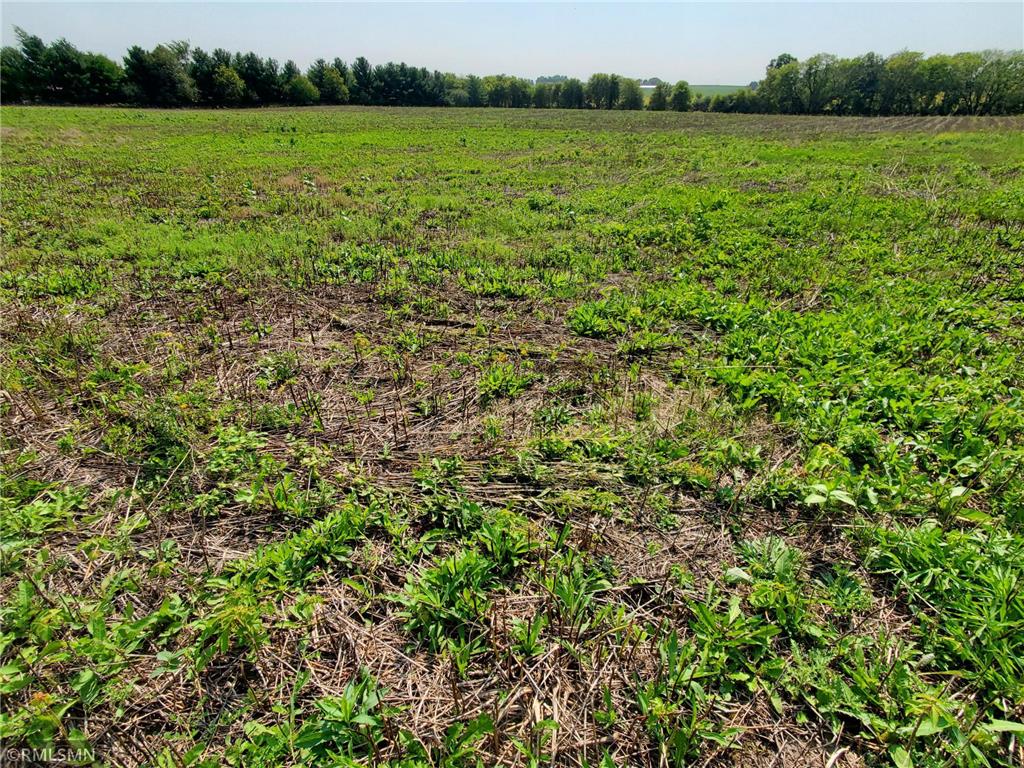 1XX Townline Rd Hammond WI 54015 6258350 image1