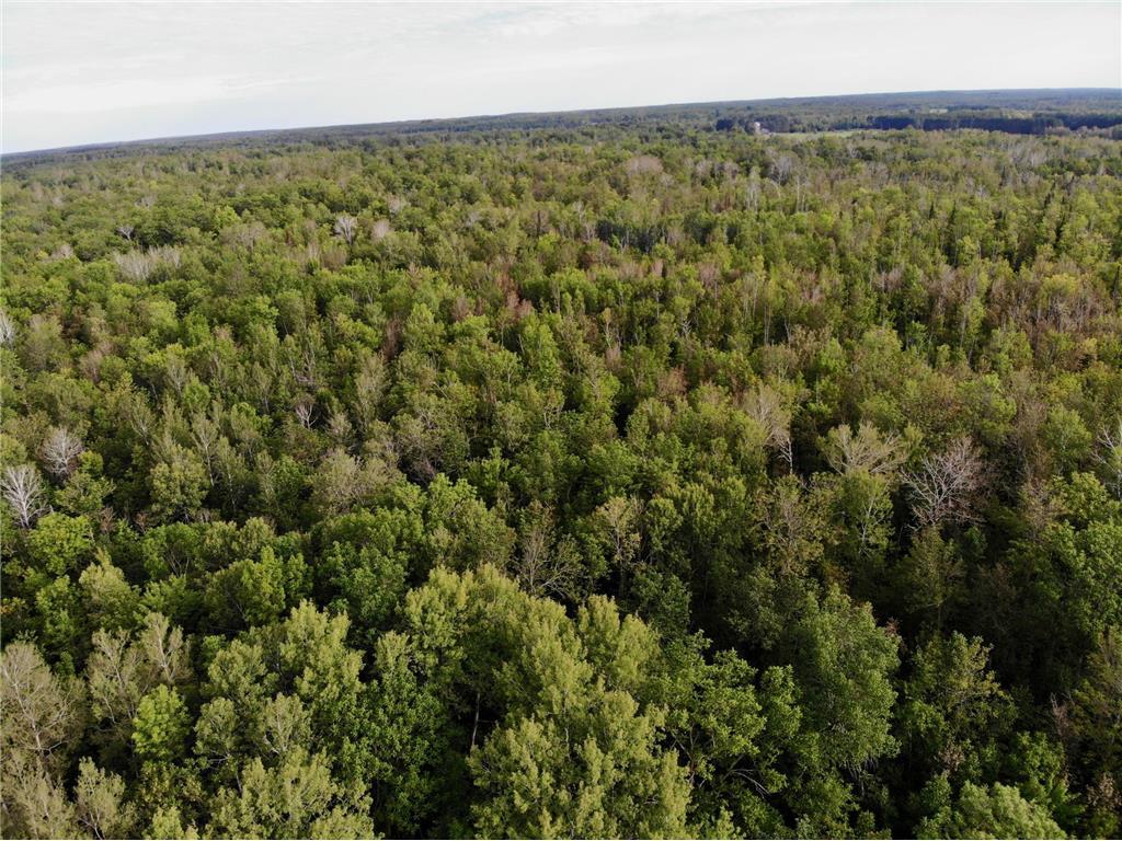 1XYZ County Road 6 Skelton Twp MN 55707 6598670 image1