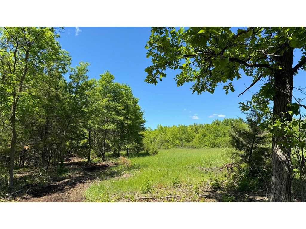1xx N. Hickory St. & N Linden Street Royalton MN 56373 - Platte River 7094902 image10