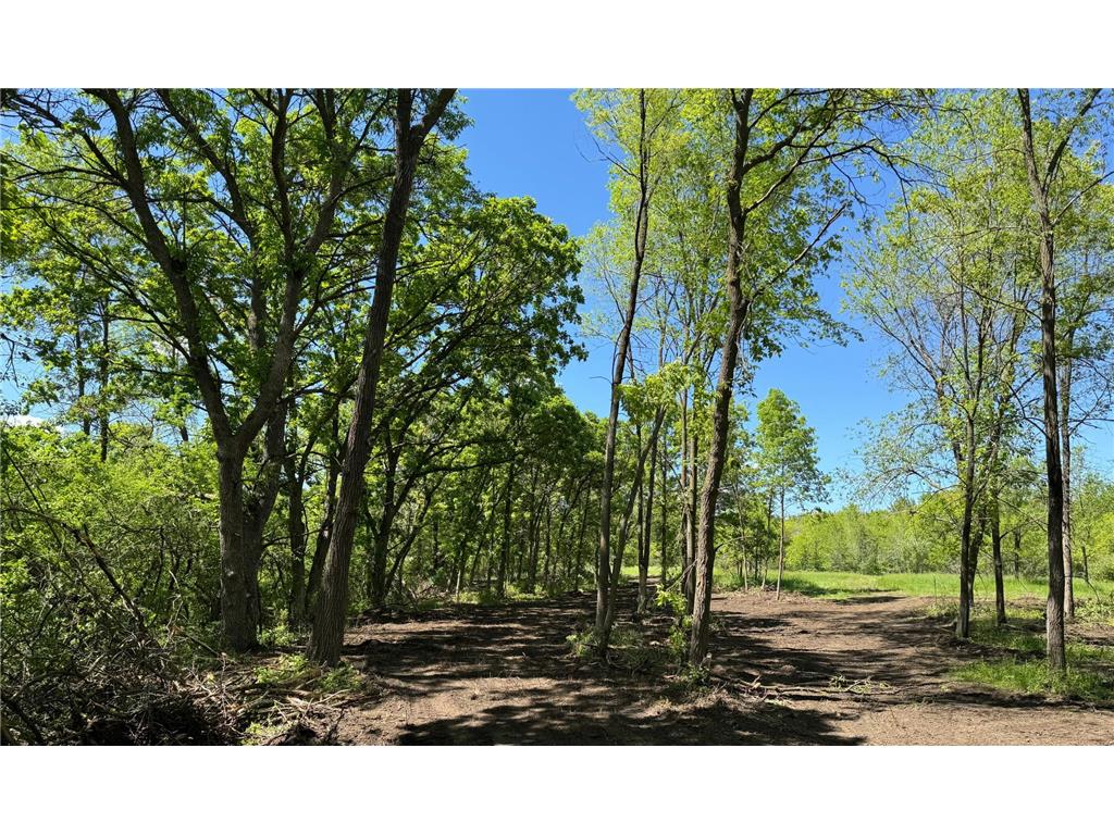 1xx N. Hickory St. & N Linden Street Royalton MN 56373 - Platte River 7094902 image8
