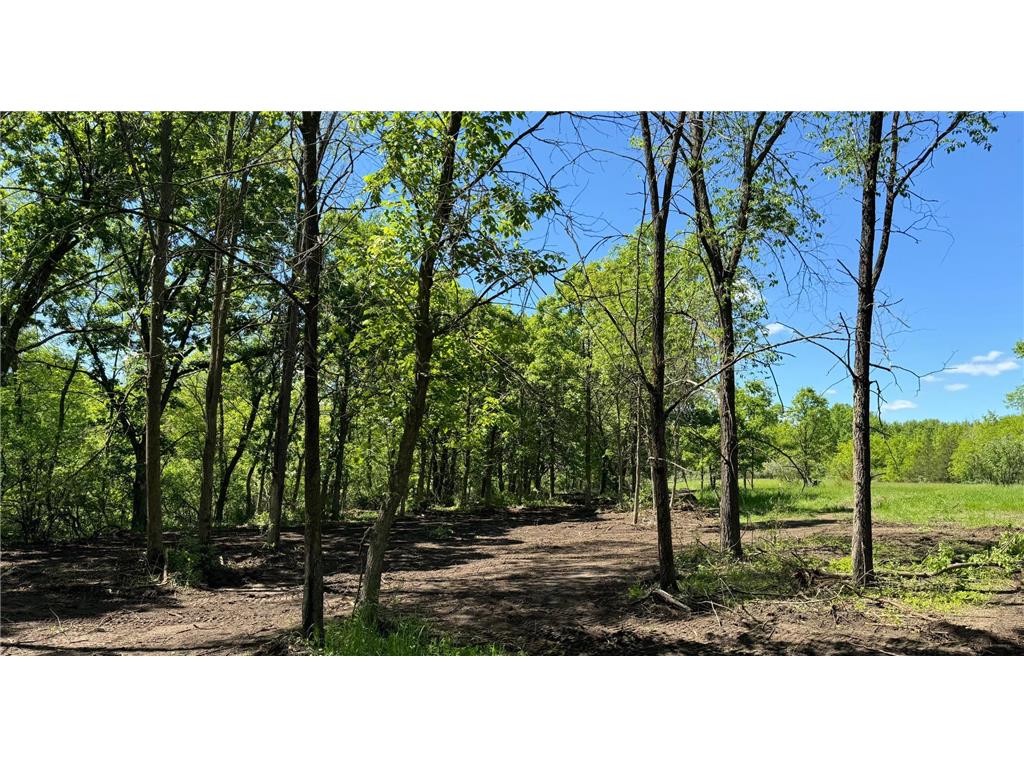 1xx N. Hickory St. & N Linden Street Royalton MN 56373 - Platte River 7094902 image9