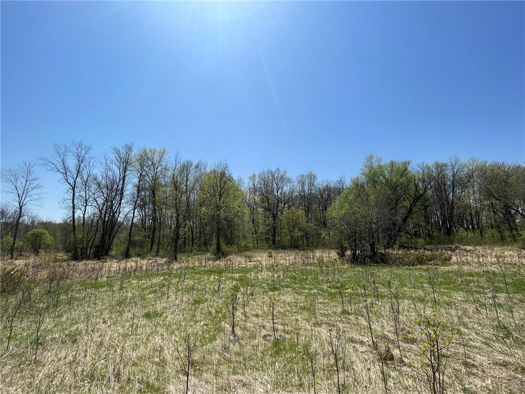 1xx Stark Road Harris MN 55032 6718445 image10