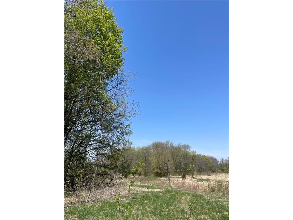 1xx Stark Road Harris MN 55032 6718445 image13