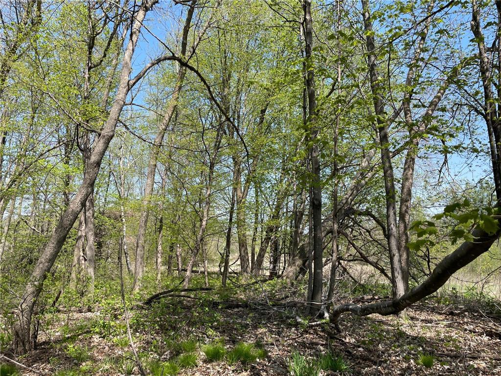 1xx Stark Road Harris MN 55032 6718445 image14