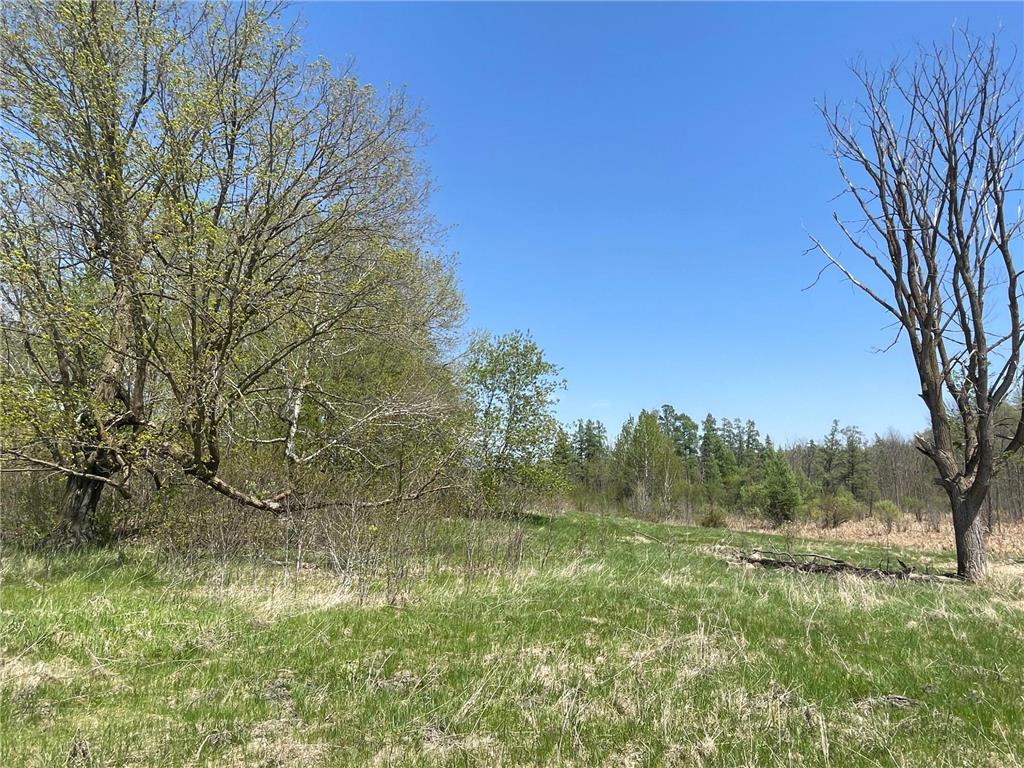 1xx Stark Road Harris MN 55032 6718445 image15