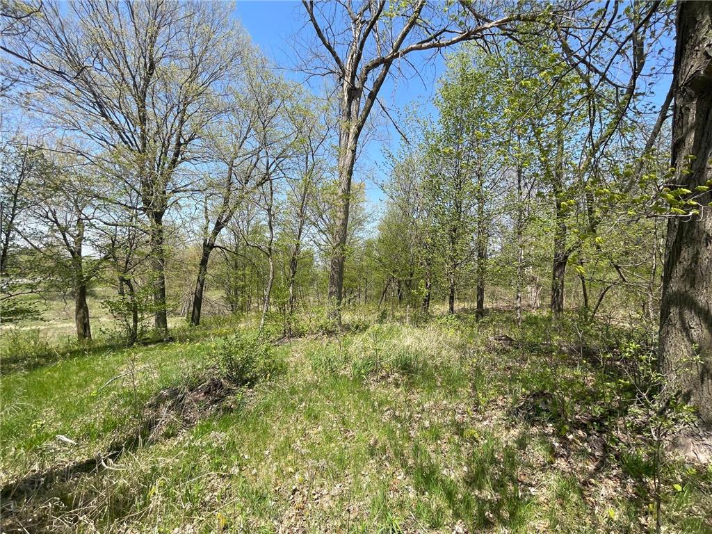 1xx Stark Road Harris MN 55032 6718445 image17