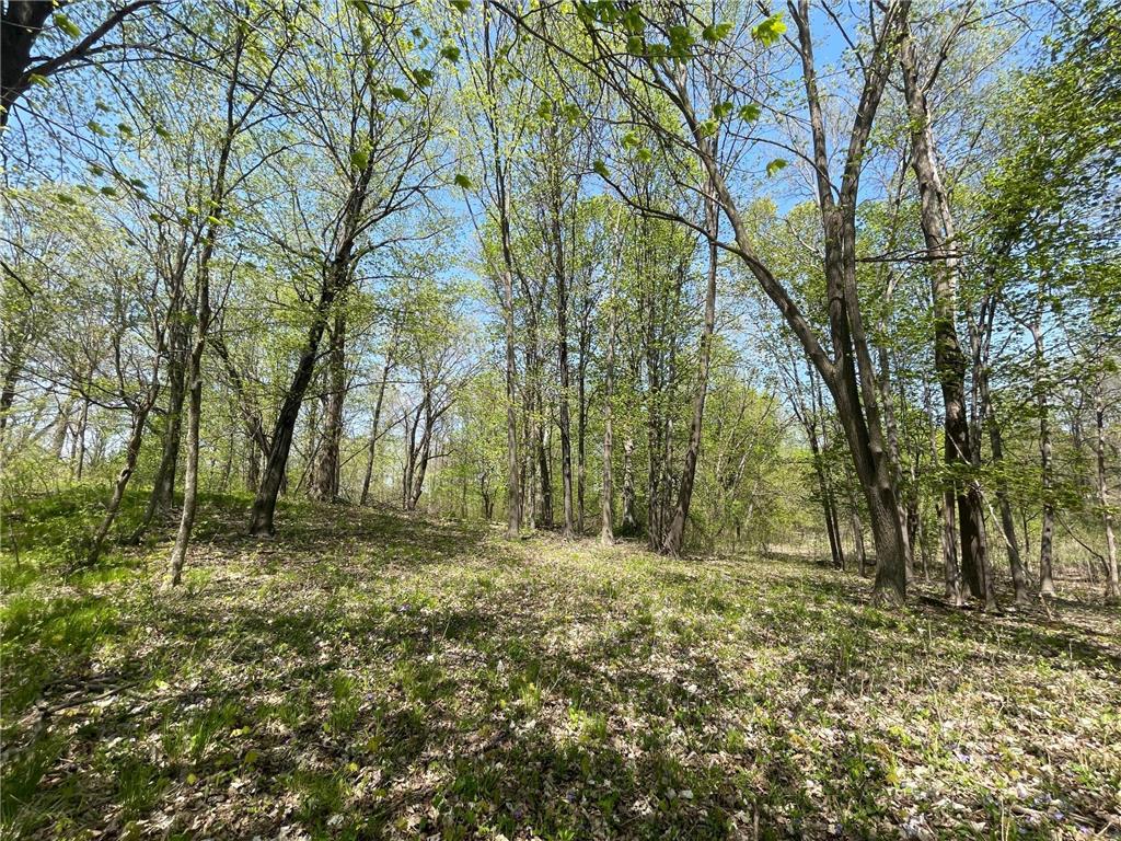 1xx Stark Road Harris MN 55032 6718445 image18