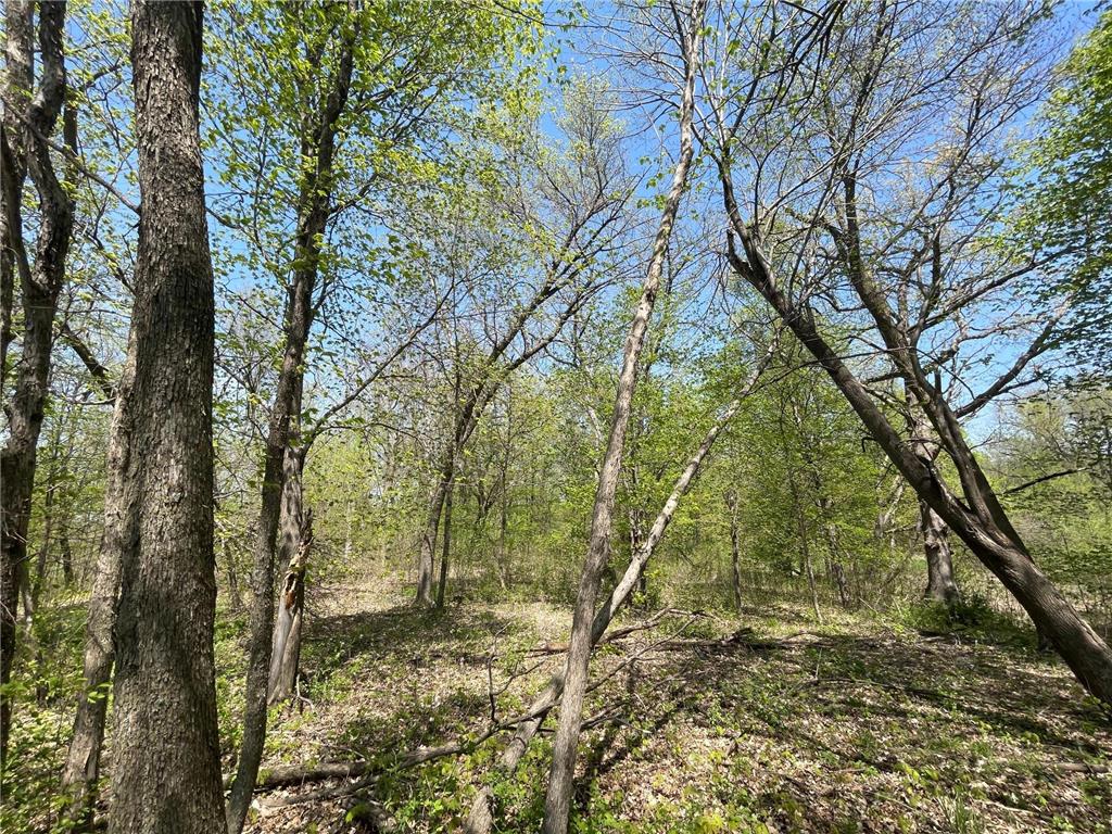 1xx Stark Road Harris MN 55032 6718445 image19