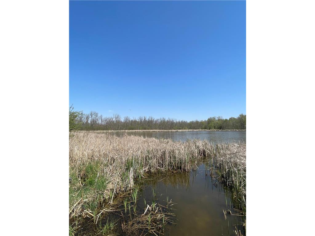 1xx Stark Road Harris MN 55032 6718445 image4