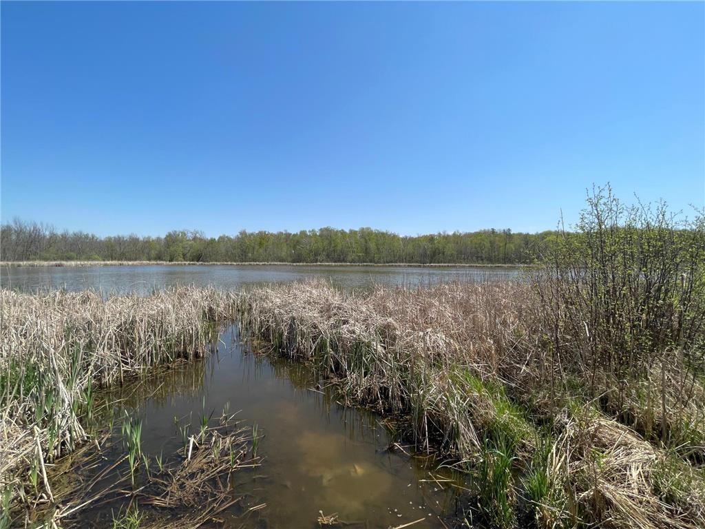 1xx Stark Road Harris MN 55032 6718445 image6