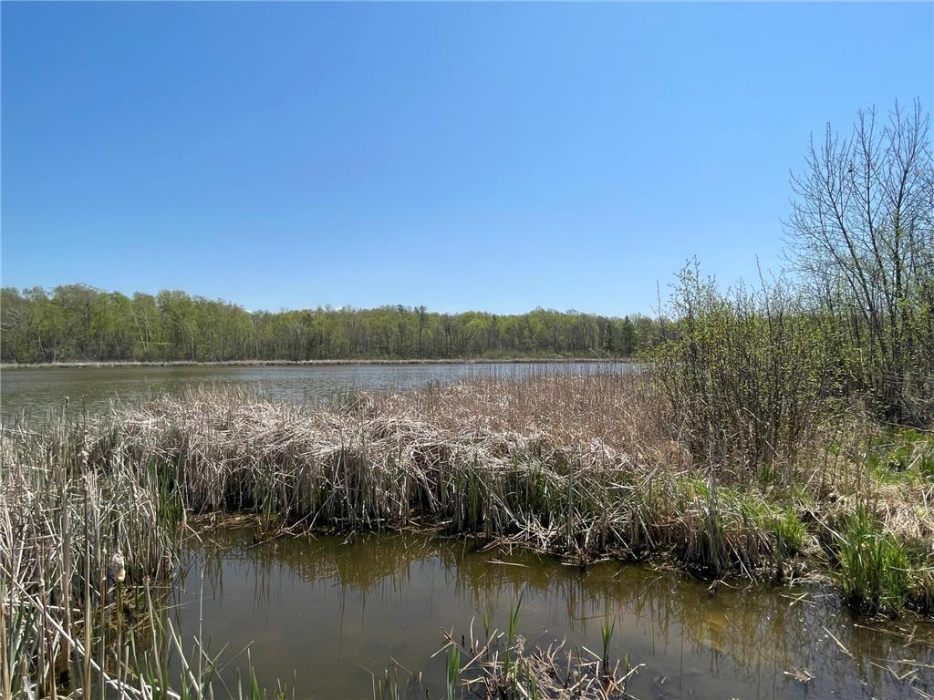 1xx Stark Road Harris MN 55032 6718445 image7