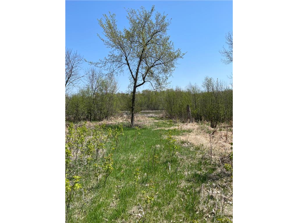 1xx Stark Road Harris MN 55032 6718445 image8