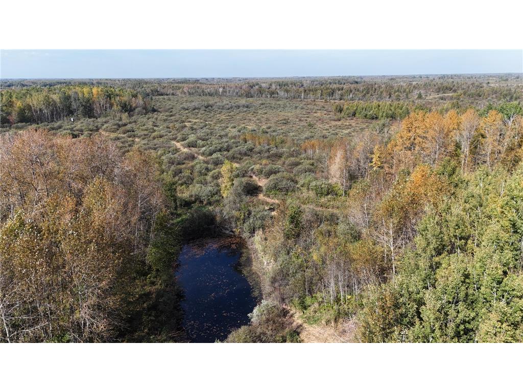 1xxx 460th Lane Palisade MN 56469 6801014 image10