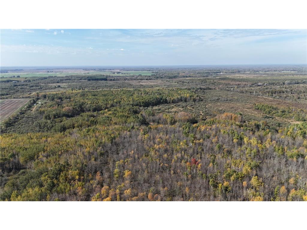 1xxx 460th Lane Palisade MN 56469 6801014 image12