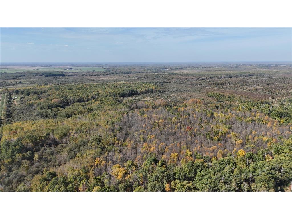 1xxx 460th Lane Palisade MN 56469 6801014 image14