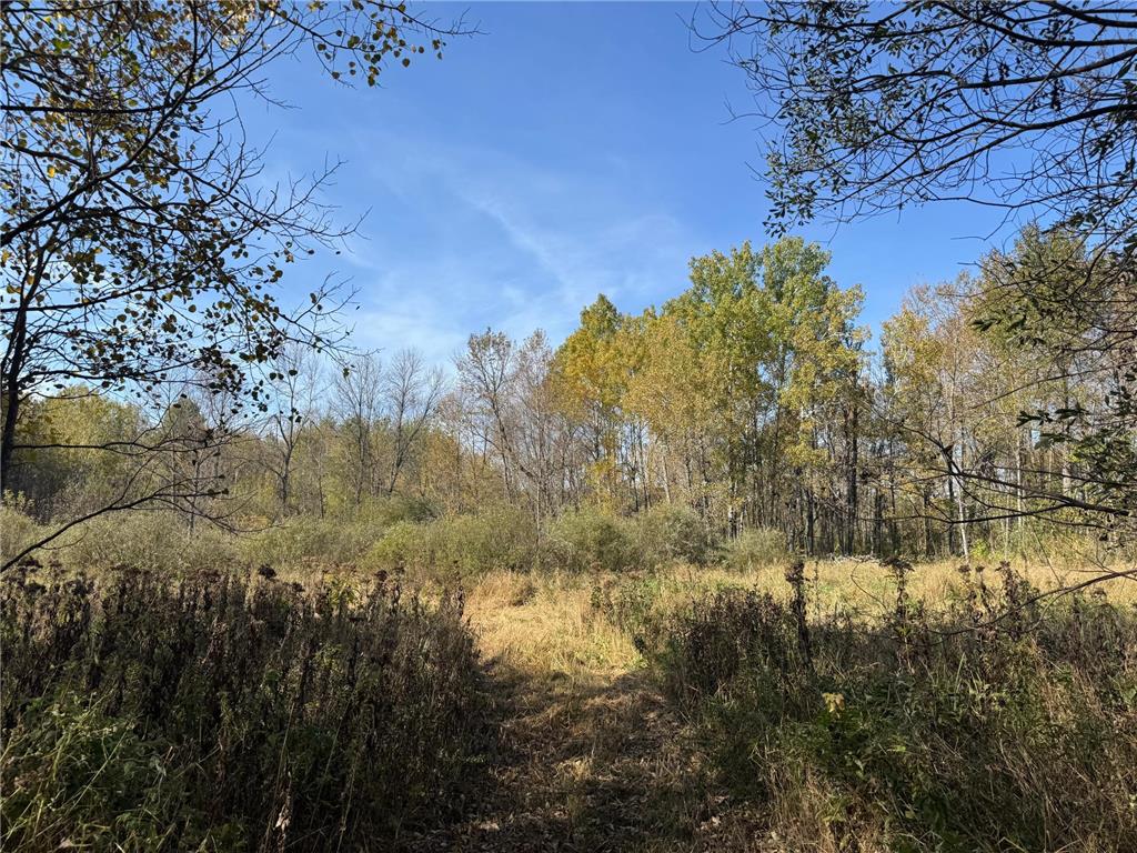 1xxx 460th Lane Palisade MN 56469 6801014 image16