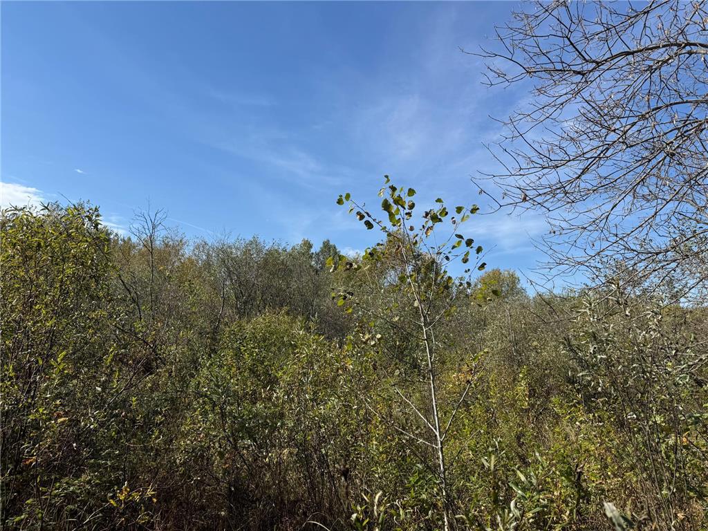 1xxx 460th Lane Palisade MN 56469 6801014 image17