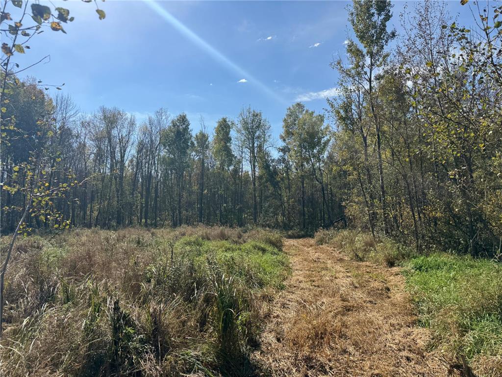 1xxx 460th Lane Palisade MN 56469 6801014 image3