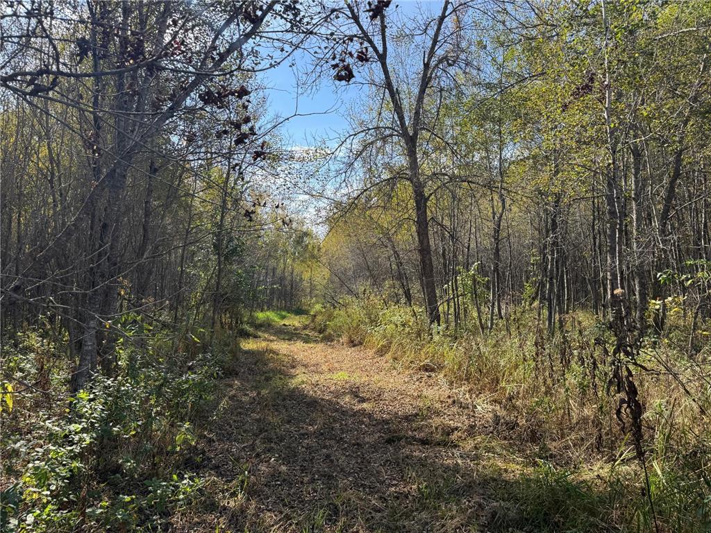 1xxx 460th Lane Palisade MN 56469 6801014 image6