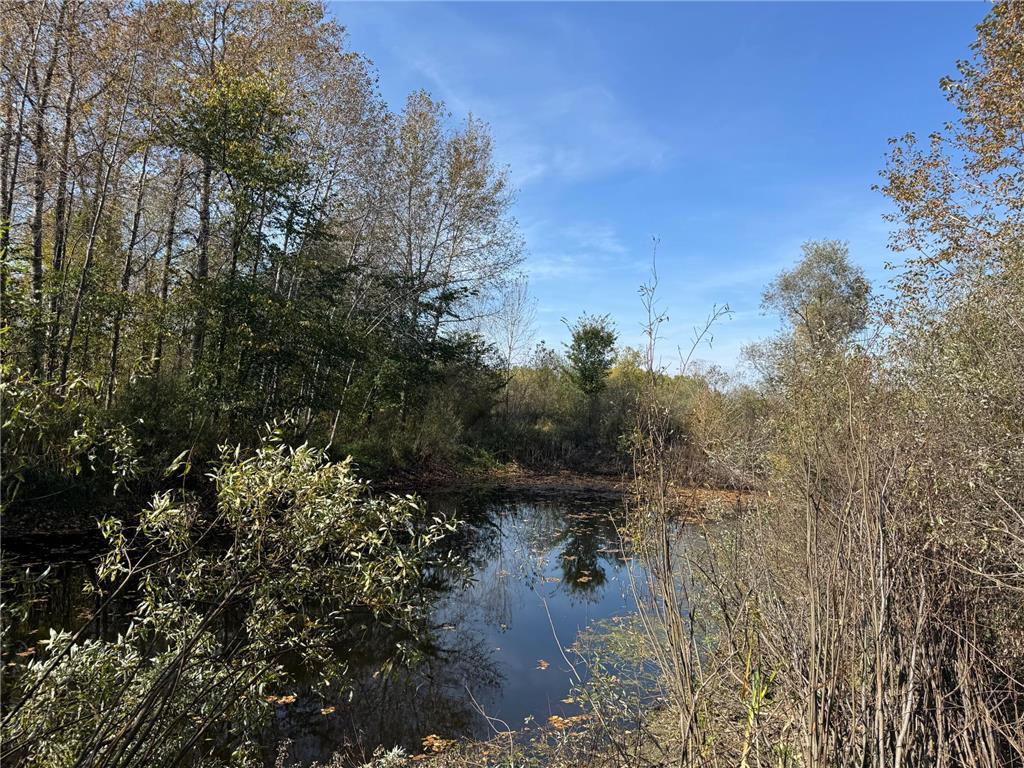 1xxx 460th Lane Palisade MN 56469 6801014 image7