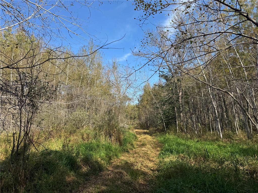 1xxx 460th Lane Palisade MN 56469 6801014 image8