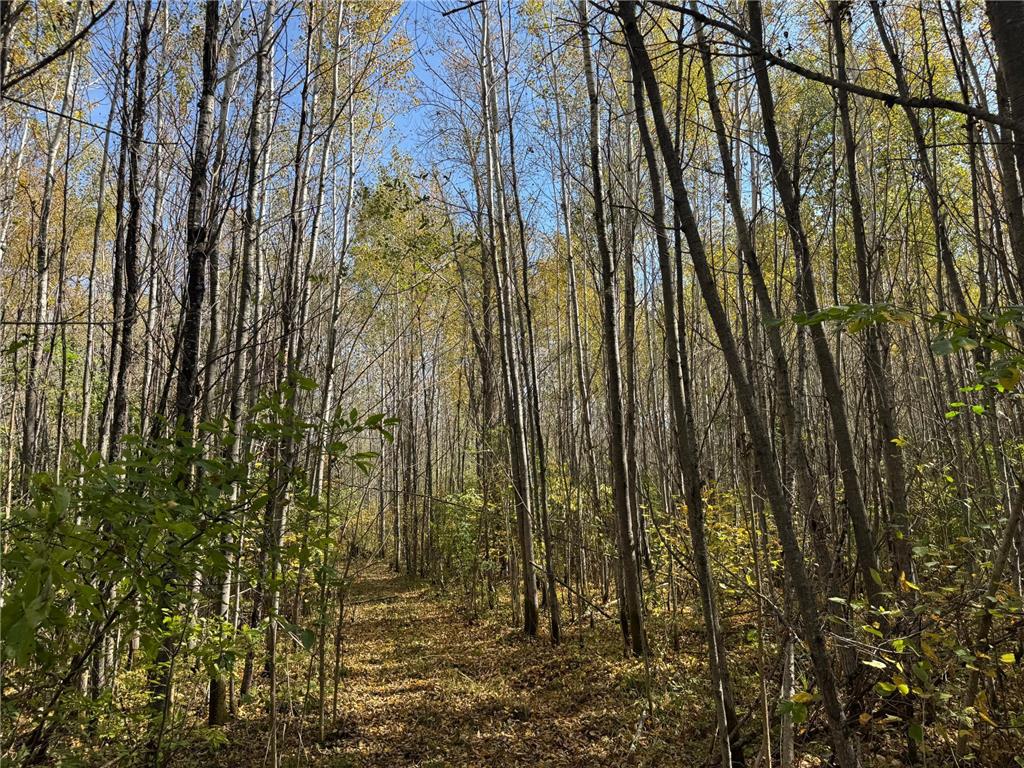 1xxx 460th Lane Palisade MN 56469 6801014 image9