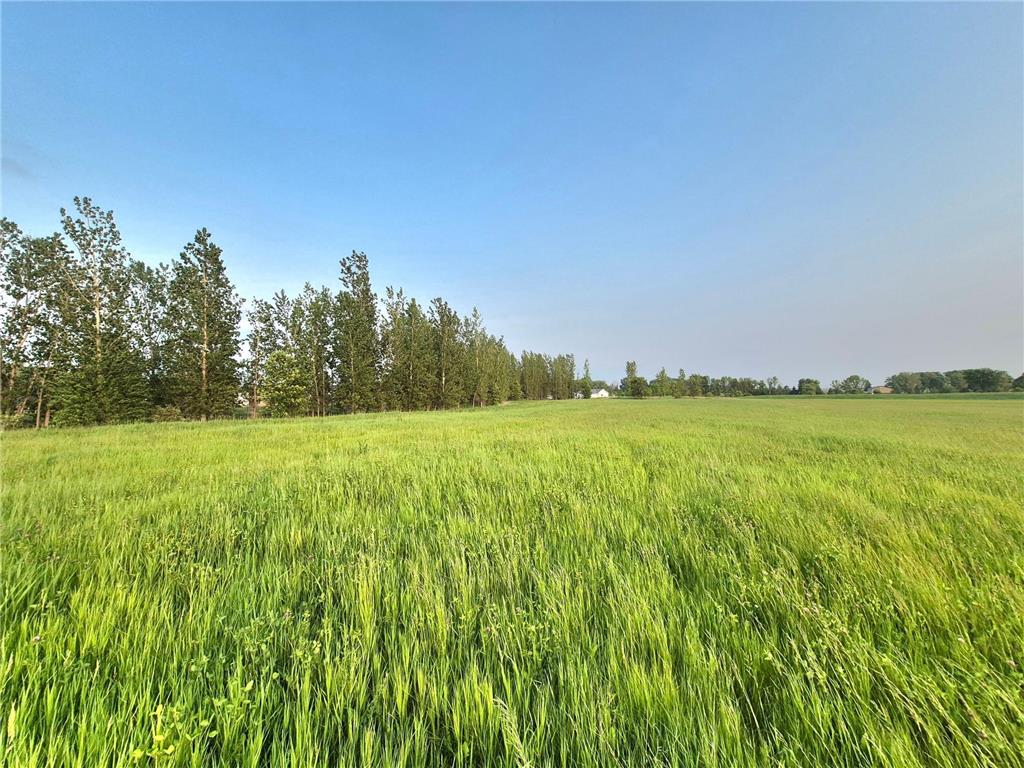 1xxx Frenzel Drive Arlington MN 55307 6651700 image9