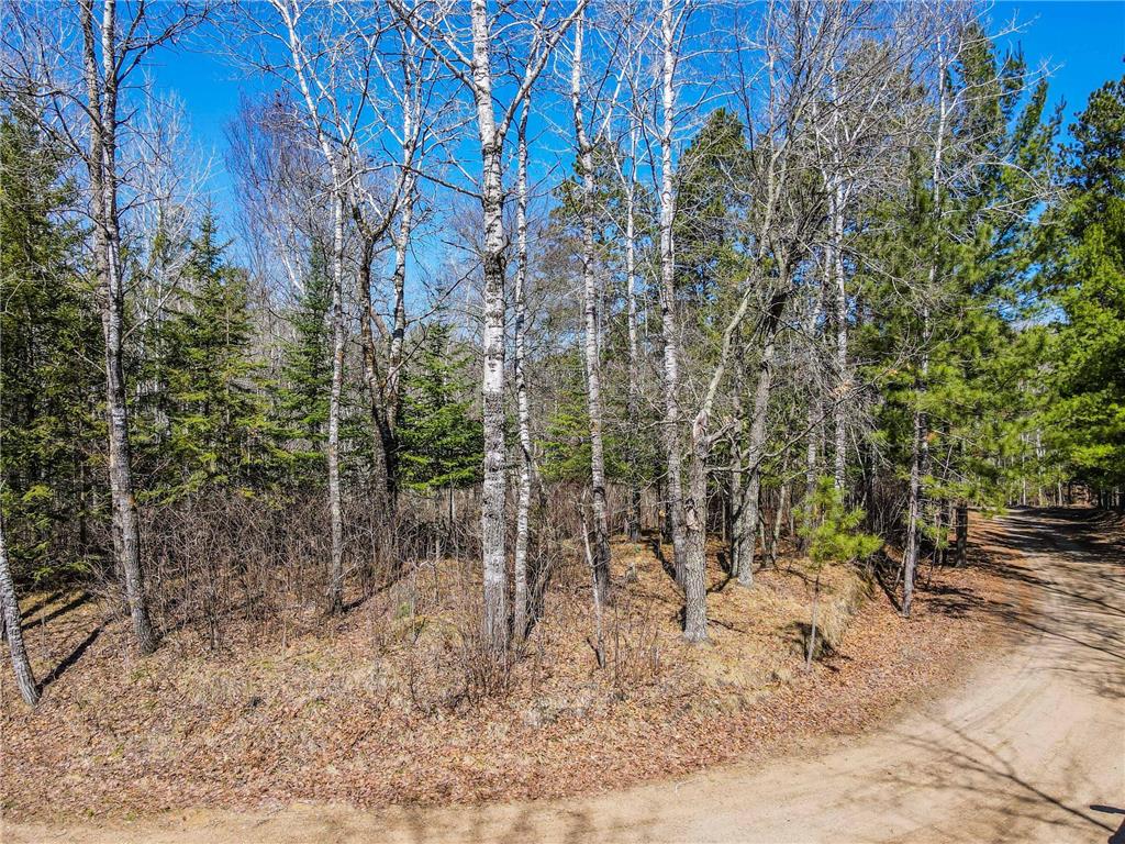 2.27 AC Gary Drive Park Rapids MN 56470 7063800 image5