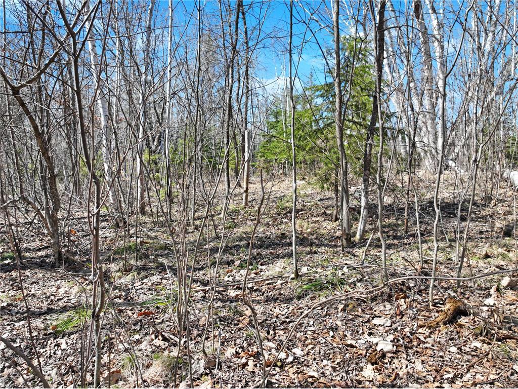 2 450th Street Guthrie Twp MN 56461 7074877 image5