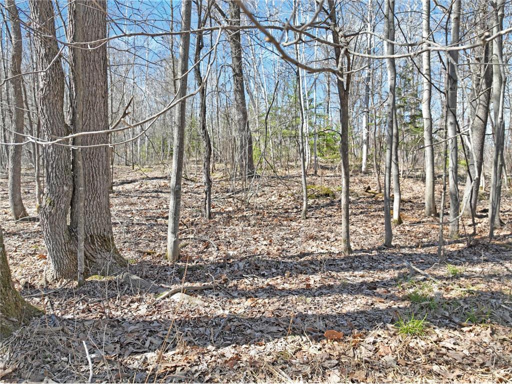 2 450th Street Guthrie Twp MN 56461 7074877 image7