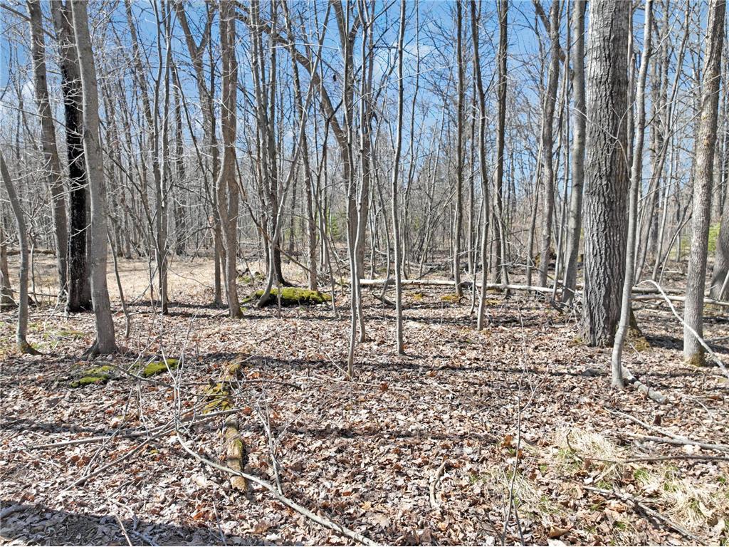 2 450th Street Guthrie Twp MN 56461 7074877 image8