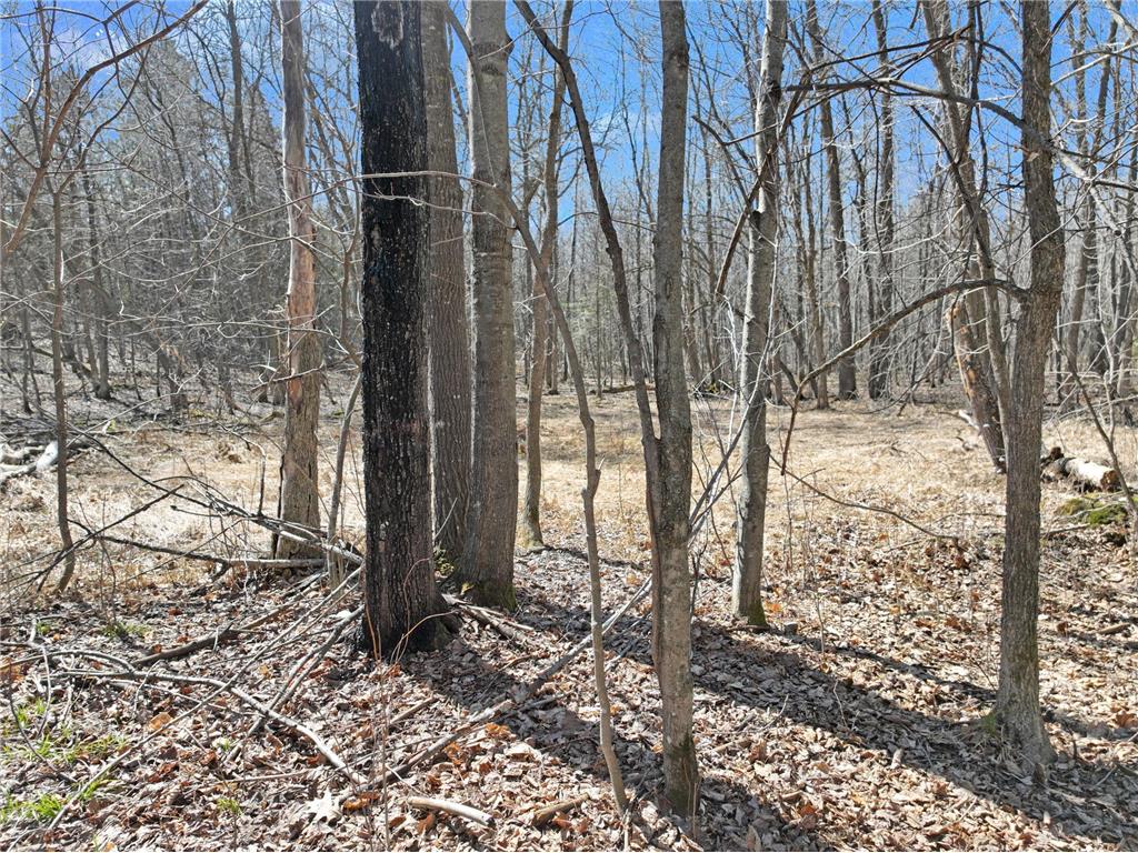 2 450th Street Guthrie Twp MN 56461 7074877 image9