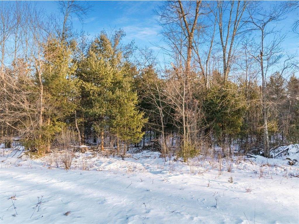 2.6 Acres N Hayden Street Merrillan WI 54754 7008929 image7