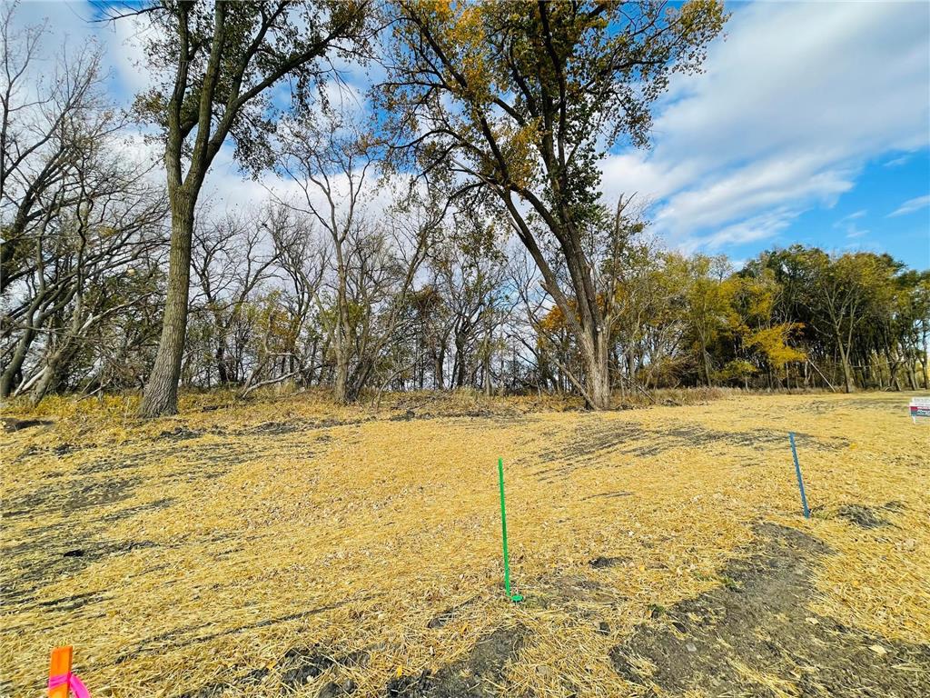 2 Cottonwood Lake Boulevard Windom MN 56101 - Cottonwood 6617778 image13