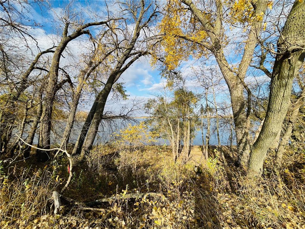 2 Cottonwood Lake Boulevard Windom MN 56101 - Cottonwood 6617778 image17