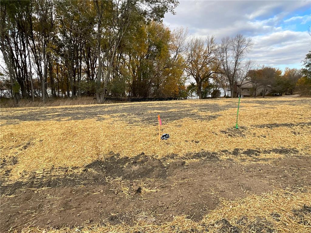 2 Cottonwood Lake Boulevard Windom MN 56101 - Cottonwood 6617778 image19