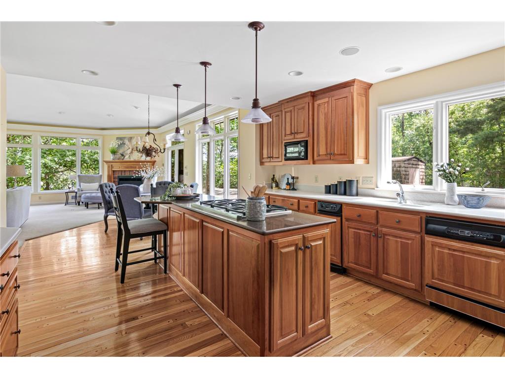 2 Crocus Lane North Oaks MN 55127 7091959 image8